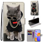 For Huawei Y9a / Golden Chain Grey Cat