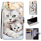 For Nokia 2.4 / Big Cat Holding Kitten