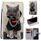 For Nokia 2.4 / Golden Chain Grey Cat