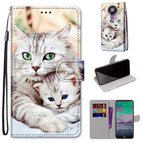 For Nokia 3.4 / Big Cat Holding Kitten