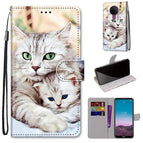 For Nokia 5.4 / Big Cat Holding Kitten