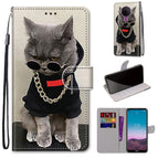 For Nokia 5.4 / Golden Chain Grey Cat