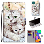 For Samsung Galaxy F62 / M62 / Big Cat Holding Kitten