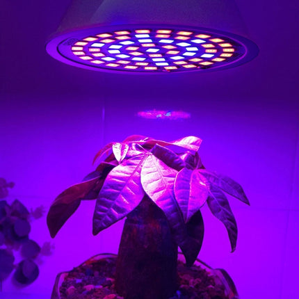 20W 60 LEDs Plant Growth LED Bulb, E27, E14