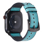 7 45mm / 6 & SE & 5 & 4 44mm / 3 & 2 & 1 42mm / Blue