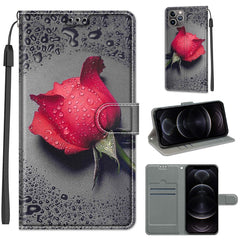 Voltage Colored Drawing Magnetic Clasp Horizontal Flip PU Leather Case with Holder & Card Slots, For iPhone 12 / 12 Pro