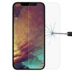 For iPhone 13 Pro Max (1 PC)