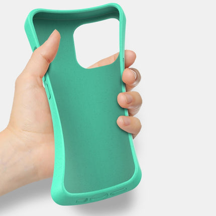 Starry Series Shockproof Straw Material + TPU Protective Case, For iPhone 13 Pro