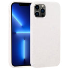 For iPhone 13 Pro / Starlight