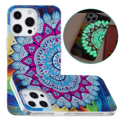 Luminous TPU Soft Protective Case, For iPhone 13 Pro, For iPhone 13 Pro Max