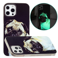 Luminous TPU Pattern Soft Protective Case, For iPhone 13 Pro Max, For iPhone 12 mini, For iPhone 12 / 12 Pro