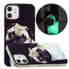 Luminous TPU Pattern Soft Protective Case, For iPhone 13 Pro Max, For iPhone 12 mini, For iPhone 12 / 12 Pro