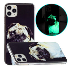 Luminous TPU Pattern Soft Protective Case, For iPhone 11 Pro Max, For iPhone X / XS, For iPhone XR