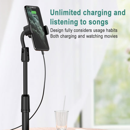 Desktop Stand Mobile Phone Tablet Live Broadcast Stand Telescopic Disc Stand, Holder + Remote Control