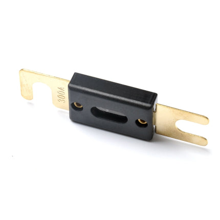 5 PCS 300A Gold-plated Large Forkbolt Car ANL Fuse, 300A