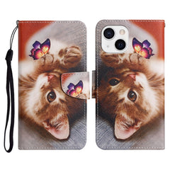 Painted Pattern Horizontal Flip Leather Case with Holder & Card Slot & Wallet, For iPhone 13