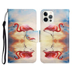Para iPhone 12 / 12 Pro / Flamenco