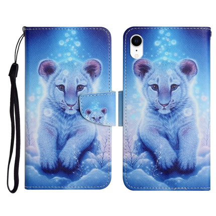 Painted Pattern Horizontal Flip Leather Case with Holder & Card Slot & Wallet, For iPhone XR