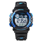 1451(Black Shell Blue Circle) / Black Shell Blue Circle