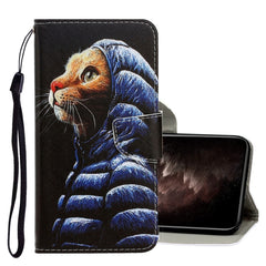 3D Colored Drawing Horizontal Flip PU Leather Case with Holder & Card Slots & Wallet, For iPhone 11 Pro Max