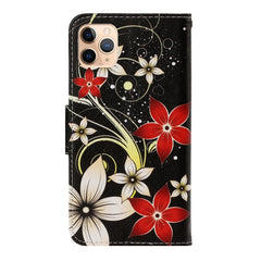 3D Colored Drawing Horizontal Flip PU Leather Case with Holder & Card Slots & Wallet, For iPhone 11 Pro Max