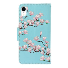 3D Colored Drawing Horizontal Flip PU Leather Case with Holder & Card Slots & Wallet, For iPhone XR