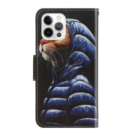 3D Colored Drawing Horizontal Flip Leather Phone Case, For iPhone 13 Pro