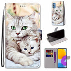 For Samsung Galaxy M52 5G / Big Cat Hugging Kitten