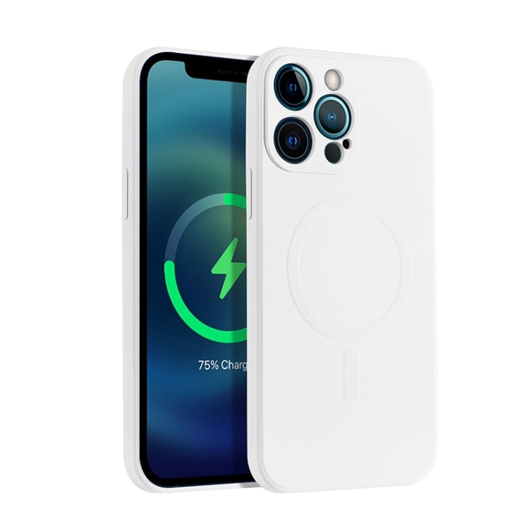 Liquid Silicone Full Coverage Magsafe Phone Case, For iPhone 11 Pro Max