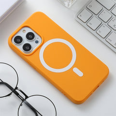 Silicone Magsafe Phone Case, For iPhone 13 Pro Max, For iPhone 13 Pro, For iPhone 13, For iPhone 13 mini, For iPhone 12 Pro Max