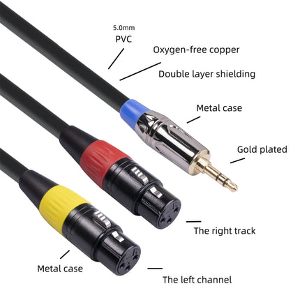 TC194BUXK107YR-30 3.5mm Male to Dual Canon Female Audio Cable, 3.5mm Male to Dual Canon Female