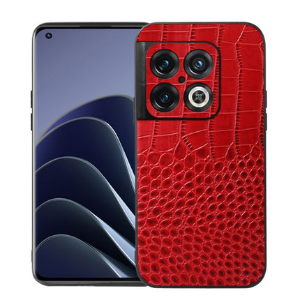 Crocodile Top Layer Cowhide Leather Phone Case, For OnePlus 10 Pro 5G, For OnePlus Nord CE 2 5G