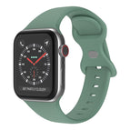 7 41mm / 6&SE&5&4 40mm / 3&2&1 38mm / Pine Needle Green