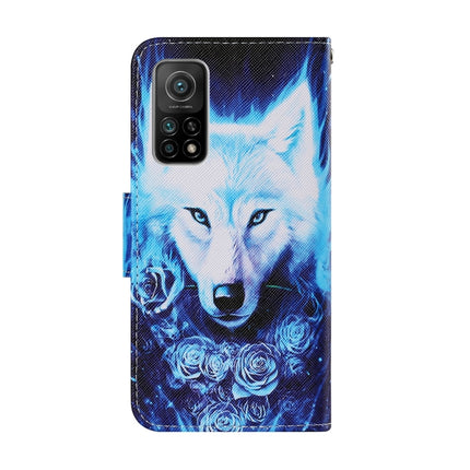 Coloured Drawing Pattern Leather Phone Case, For Xiaomi Mi 10T / 10T Pro