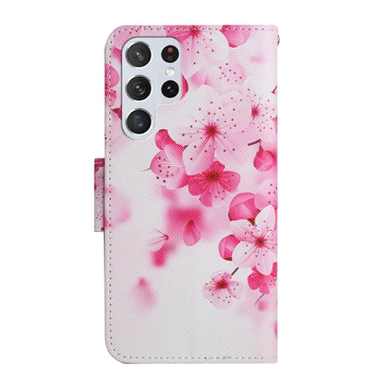 Painted Pattern Horizontal Flip Leather Phone Case, For Samsung Galaxy S22 Ultra 5G