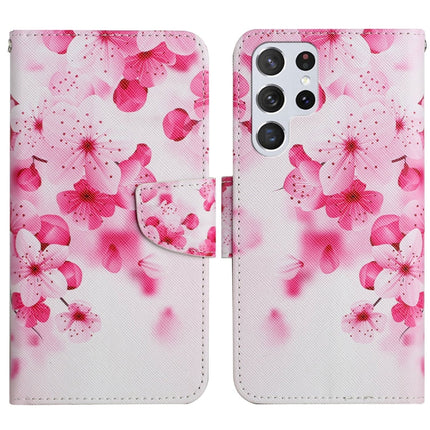 Painted Pattern Horizontal Flip Leather Phone Case, For Samsung Galaxy S22 Ultra 5G
