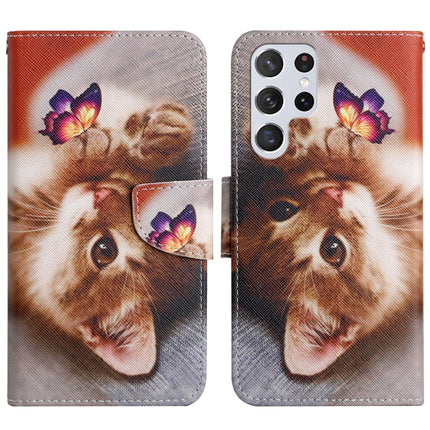 Painted Pattern Horizontal Flip Leather Phone Case, For Samsung Galaxy S22 Ultra 5G