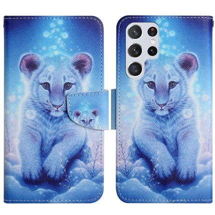 Painted Pattern Horizontal Flip Leather Phone Case, For Samsung Galaxy S22 Ultra 5G