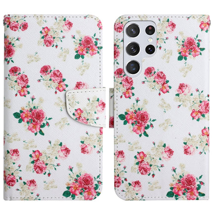Painted Pattern Horizontal Flip Leather Phone Case, For Samsung Galaxy S22 Ultra 5G