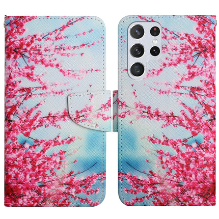 Painted Pattern Horizontal Flip Leather Phone Case, For Samsung Galaxy S22 Ultra 5G