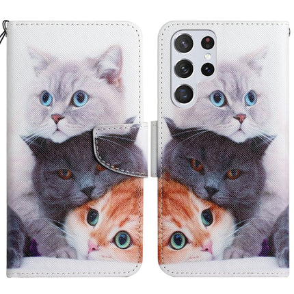 Painted Pattern Horizontal Flip Leather Phone Case, For Samsung Galaxy S22 Ultra 5G