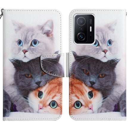 Painted Pattern Flip Leather Phone Case, For Xiaomi Mi 11T