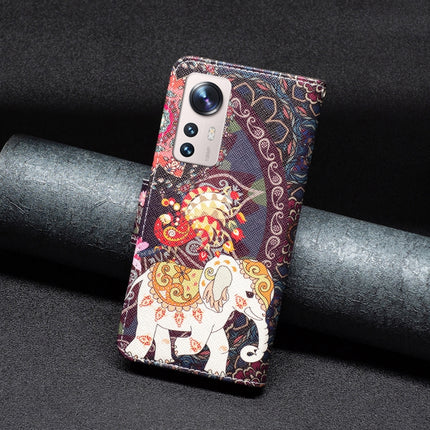 Colored Drawing Leather Phone Case, For Xiaomi 12 Lite