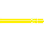 D-655 / Yellow