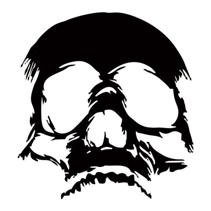 D-774 Evil Skull Pattern Car Modified Decorative Sticker, D-774