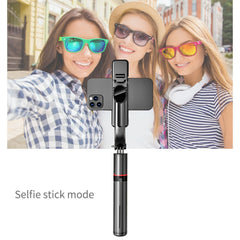 L12D Bluetooth Remote Control Detachable Fill Light Tripod Selfie Stick Phone Holder, L12D