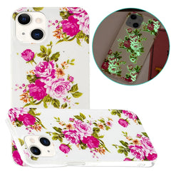 Luminous TPU Soft Phone Case, For iPhone 14