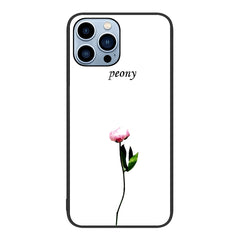 Colorful Painted Glass Phone Case, For iPhone 13 Pro Max