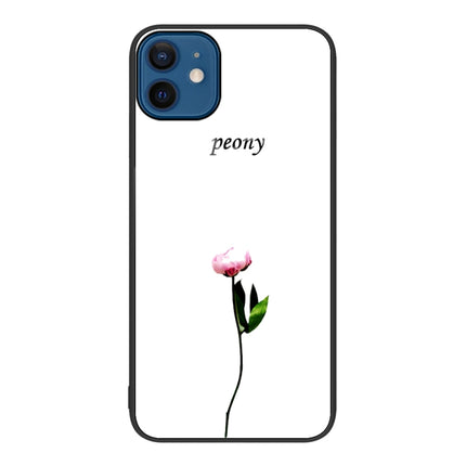 Colorful Painted Glass Phone Case, For iPhone 12 / 12 Pro