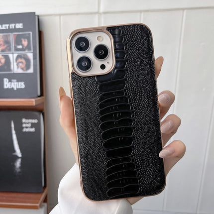Genuine Leather Pinshang Series Nano Electroplating Phone Case, For iPhone 13 Pro Max